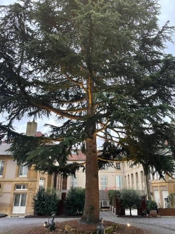 La Cour De La Tresorerie Metz Exterior foto